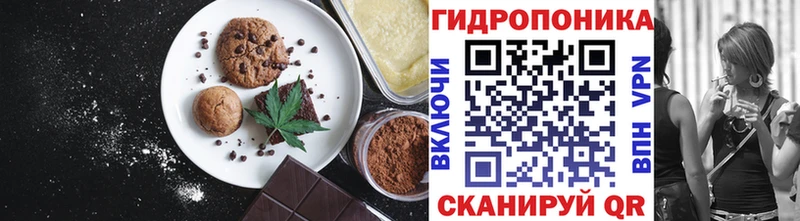 Canna-Cookies марихуана  это состав  Заинск  купить наркоту 