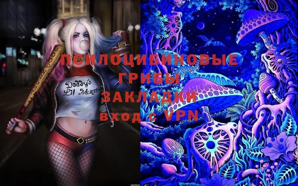 spice Белокуриха