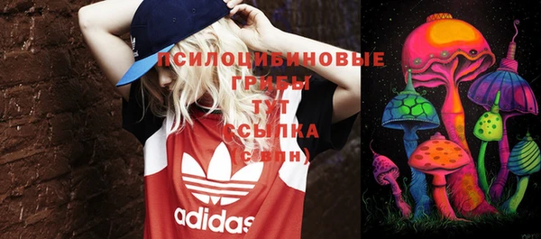гашик Беломорск