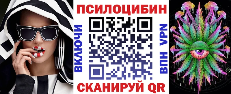Галлюциногенные грибы GOLDEN TEACHER  цена наркотик  Заинск 
